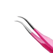 Pęseta - Power Pink - Curve.webp